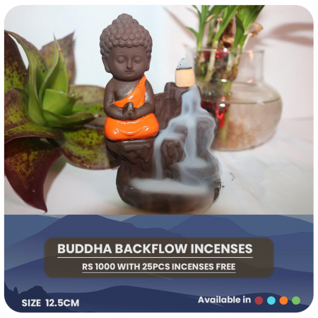 Buddha Backflow Incense