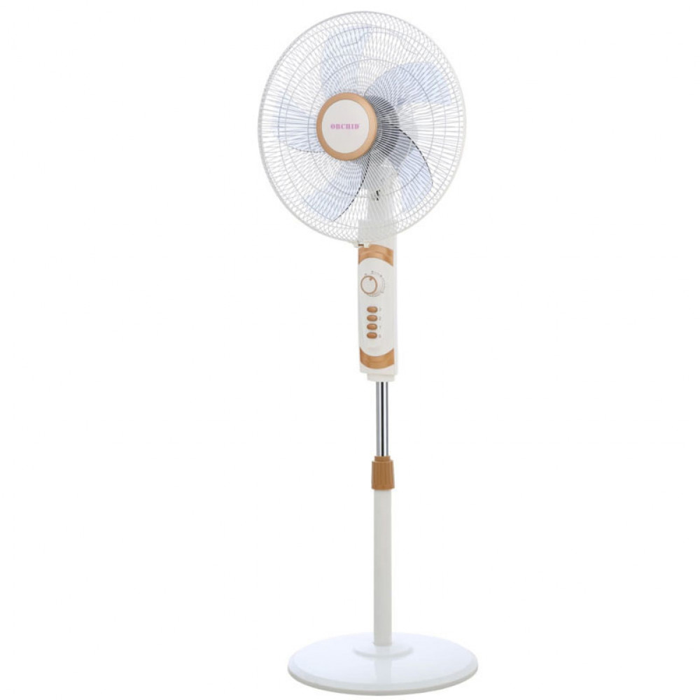 Stand Fan